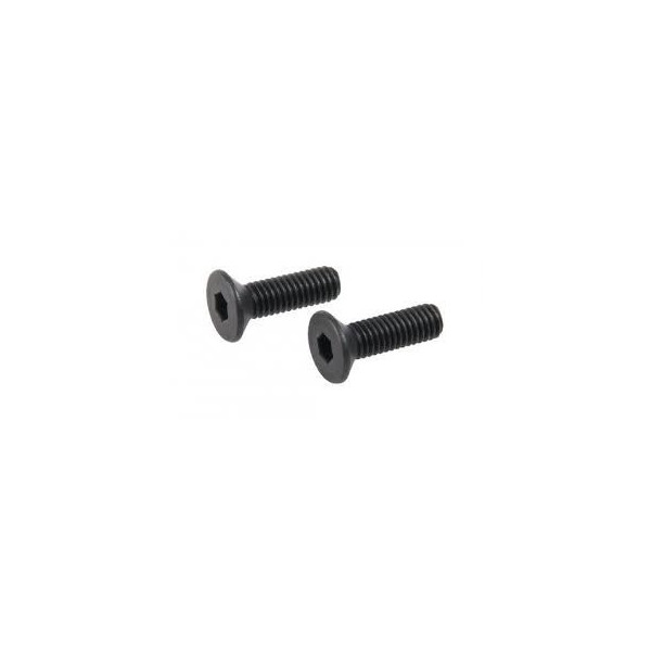 TORNILLOS PARA RMR GLADIUS