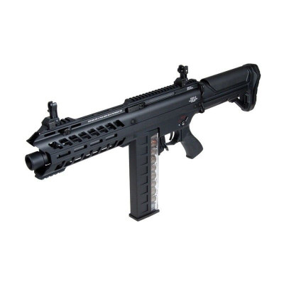 SGR12