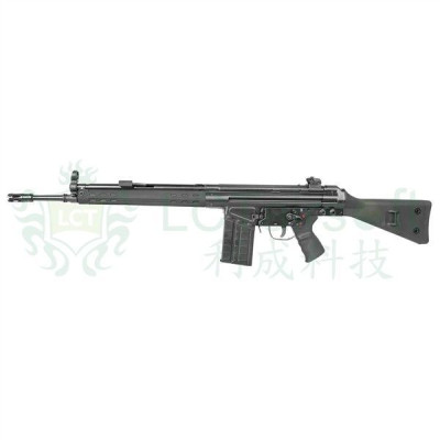 G3A3