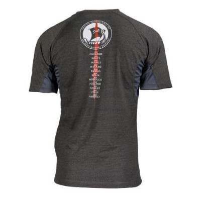 Camiseta tour AESIR gris