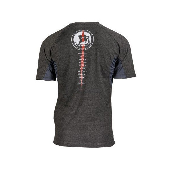 Camiseta tour AESIR gris