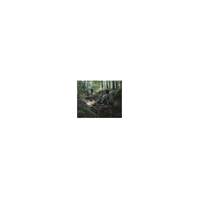 Bolsa camelback 3L multicam Molle