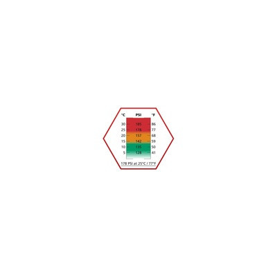 Gas ASG 178 psi 570ml rojo