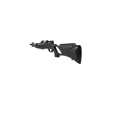 Carabina PCP dione 5.5