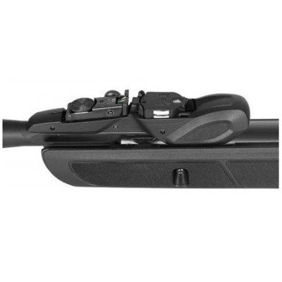 GAMO ROADSTER IGT 10X GEN2
